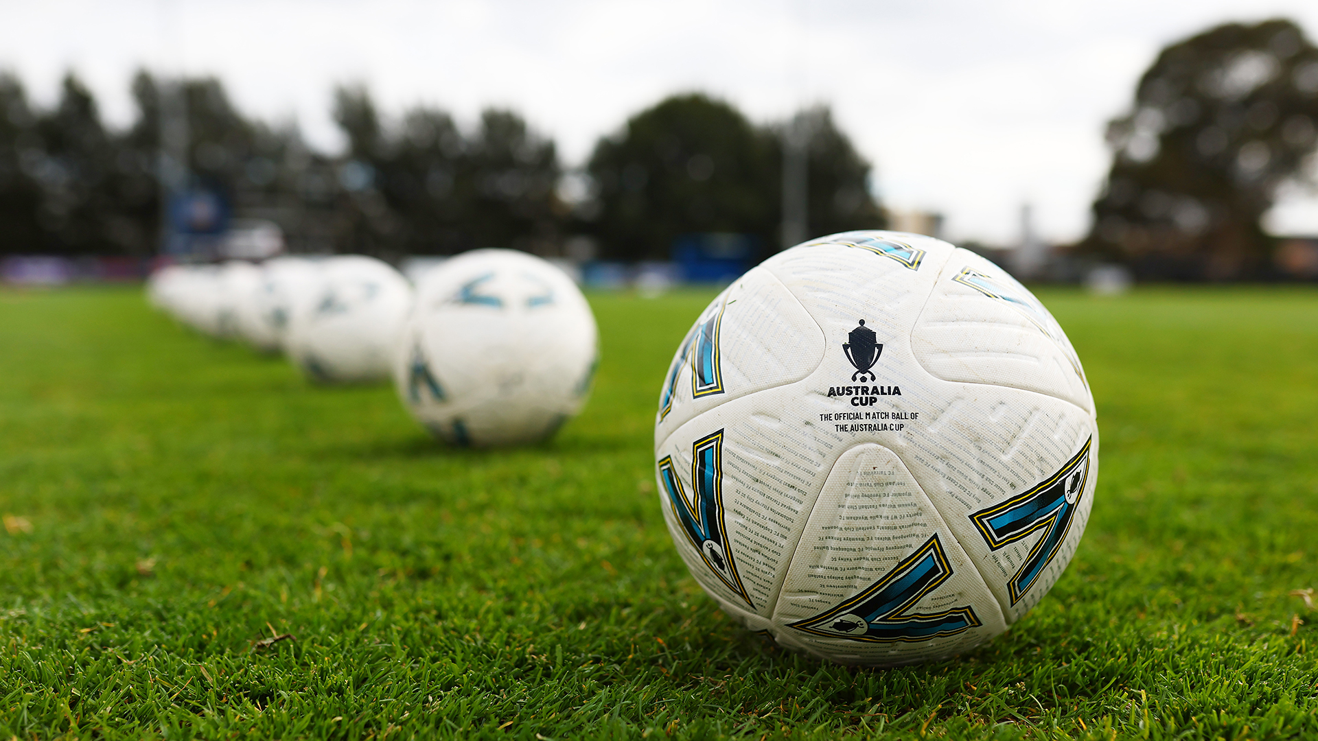 Tenth anniversary of the Australia Cup kicks off this weekend ...