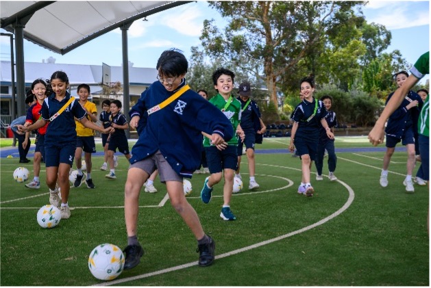 Coach Delivered Programs: