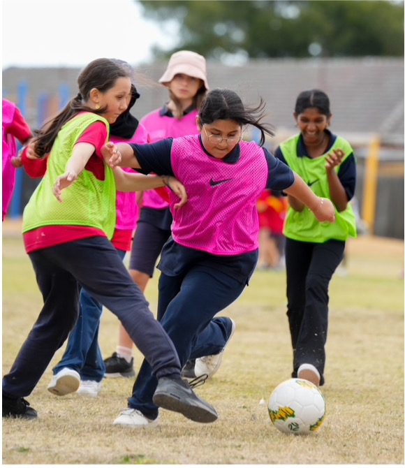 MiniRoos Settlement Program (MSP)