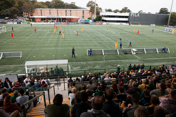 Pararoos Cromer 