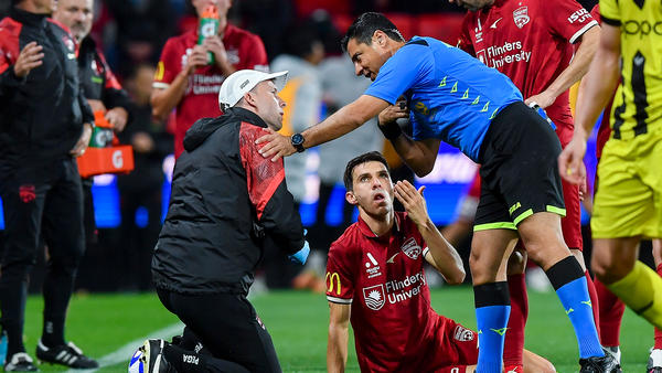 Alireza Faghani - Referees