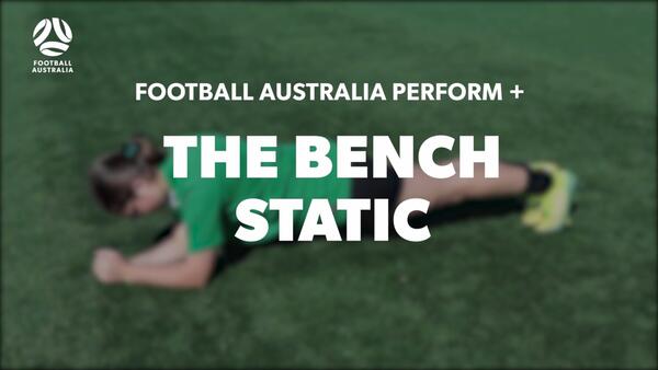 THE BENCH - STATIC (Level 1 Performance)