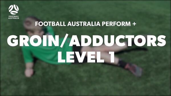 GROIN-ADDUCTORS - LEVEL 1