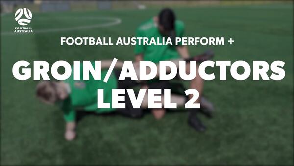 GROIN-ADDUCTORS LEVEL 2