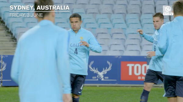 FFA TV | Cahill praises Postecoglou's press