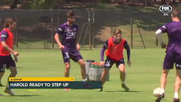 Harold ready to step up