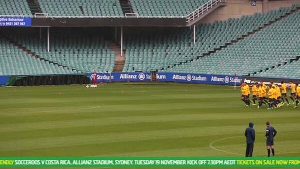 Socceroos News | Day 8
