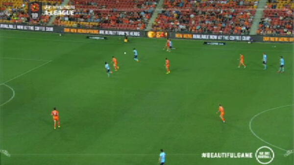 Sky Blues stunners
