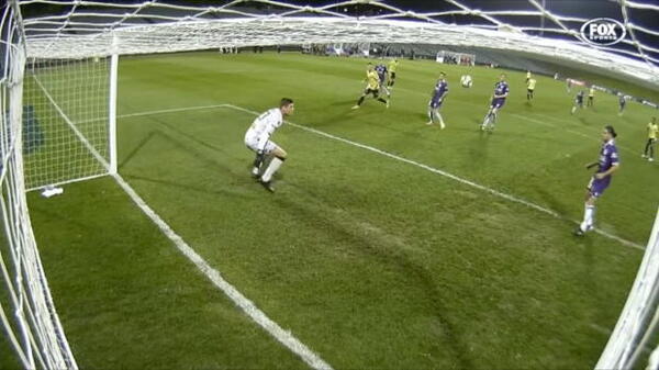 Hyundai A-League Round 22: Top Five Goals