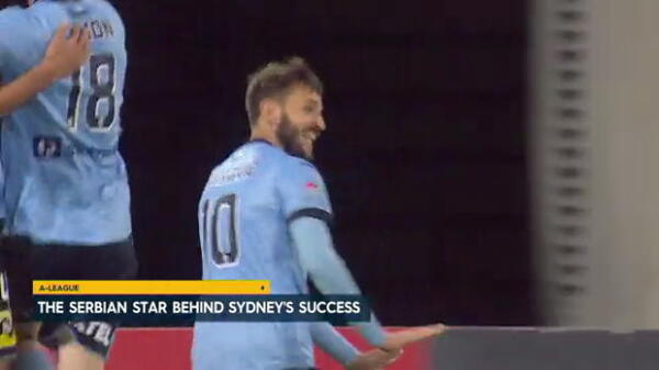 Serbian star behind Sydney's success