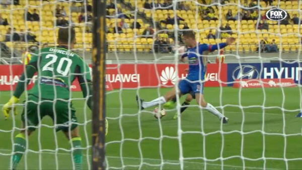 Hyundai A-League Round 24: Top 5 Goals