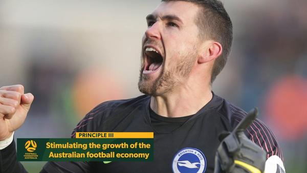 XI Principles - Principle III - Stimulating growth of Australian football economy