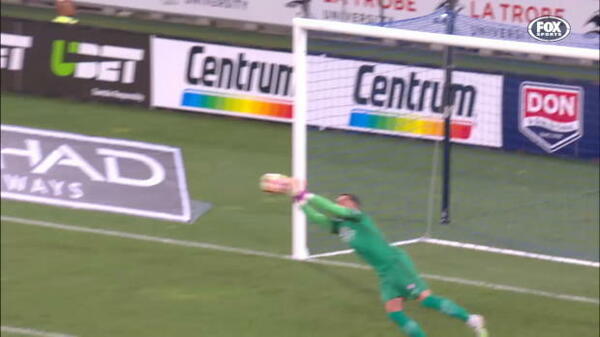 Hyundai A-League Round 14 - top saves