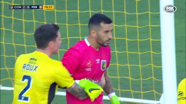Hyundai A-League Round 17: Top five saves