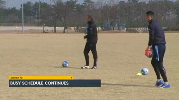 Sydney train in Korea ahead of ACL