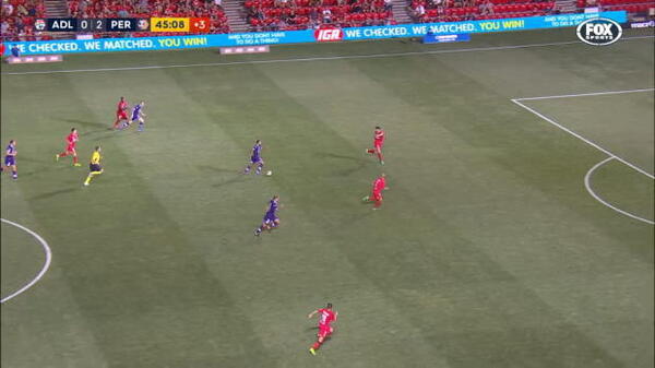 Hyundai A-League Round 19: Top 5 goals 