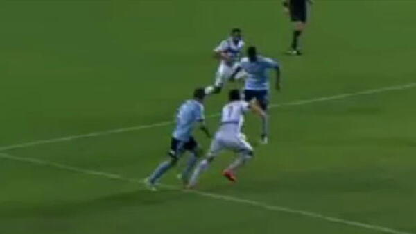The Evidence That Clears Ryall of Diving