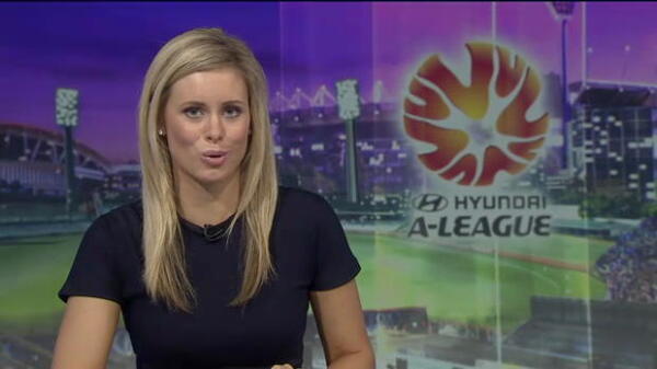 Newcastle v Wellington match report