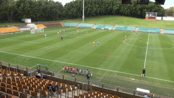 Ninkovic's Sydney stunner