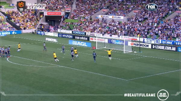Bonevacia brilliance