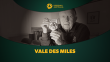 Vale Des Miles