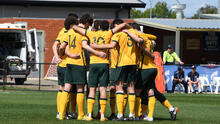 Joeys