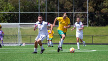 Pararoos