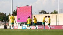 Pararoos