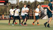 Olyroos 